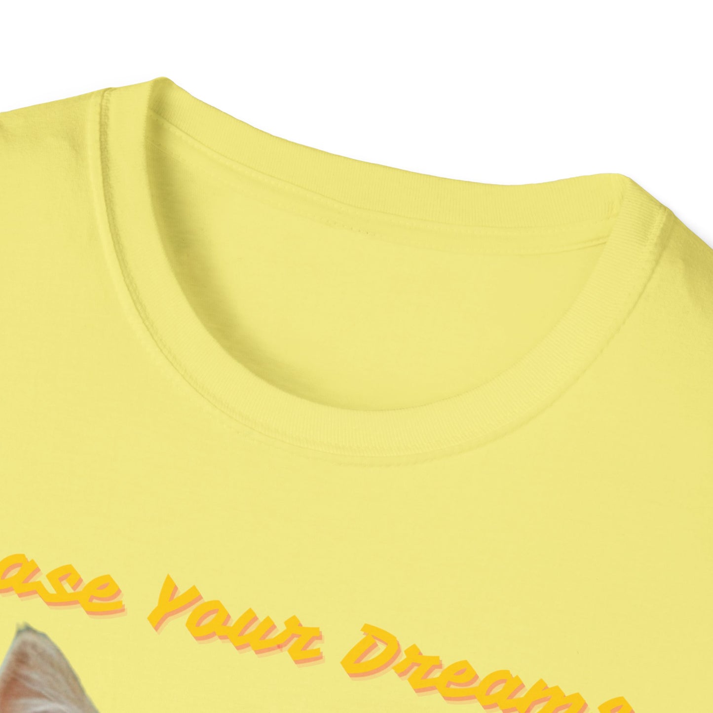 Chase Your Dreams Cat T-Shirt | Unisex Softstyle Tee for Cat Lovers