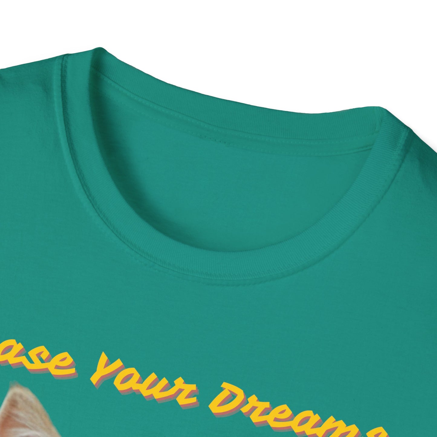 Chase Your Dreams Cat T-Shirt | Unisex Softstyle Tee for Cat Lovers
