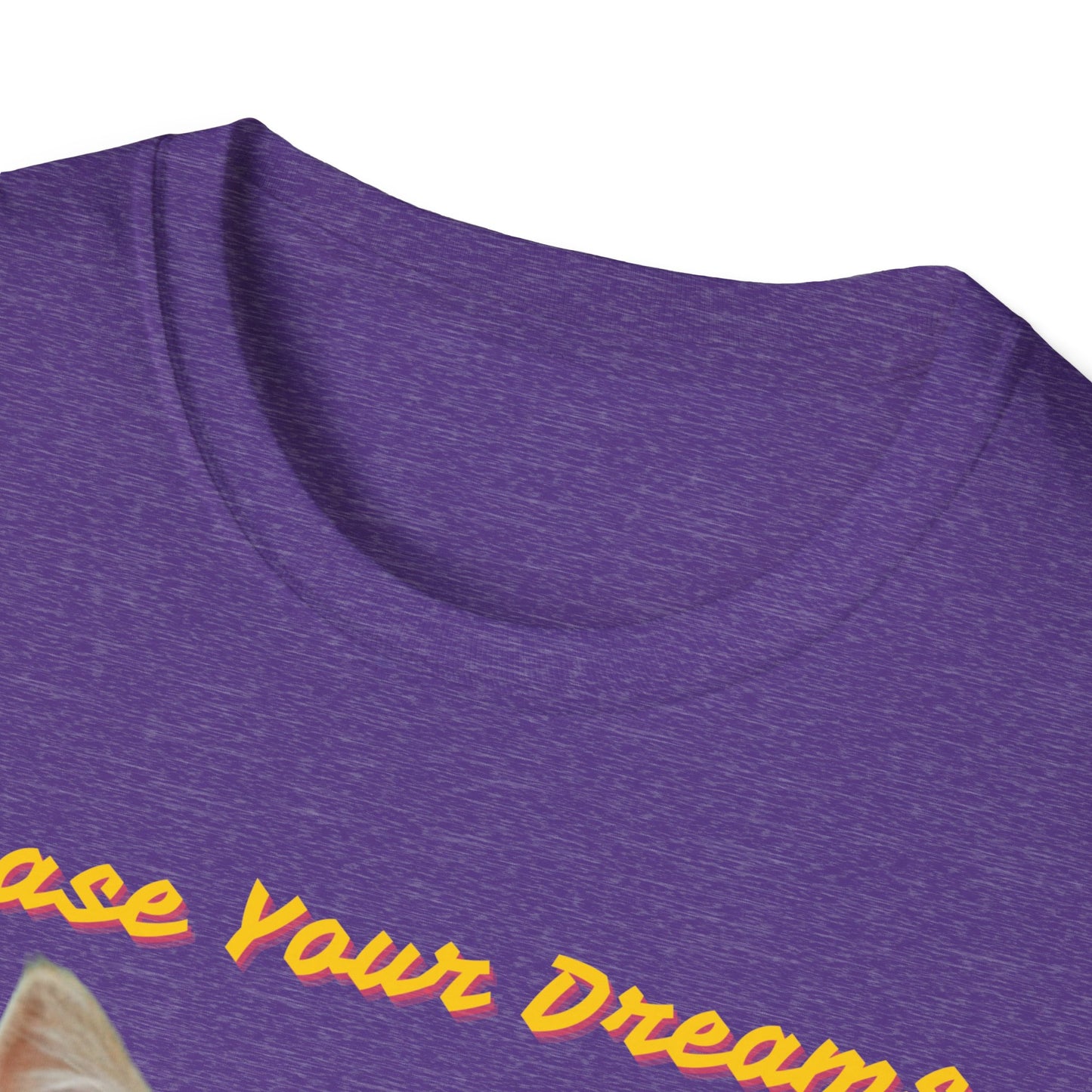 Chase Your Dreams Cat T-Shirt | Unisex Softstyle Tee for Cat Lovers